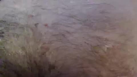 Snapshot of bigstudjohn22 chatting on October 2, 11:03 am bigstudjohn22 online show from October 2, 11:03 am