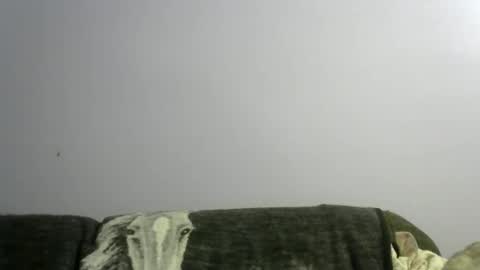 bigxcountry_39 online show from February 19, 4:20 am