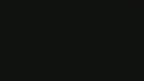 billargo online show from December 21, 10:39 am