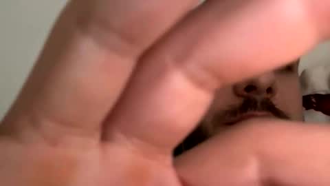 billy_antonny11 online show from January 9, 8:41 am