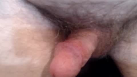 bobswan online show from April 16, 9:04 pm