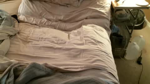 BigBopper50 online show from October 4, 12:21 pm