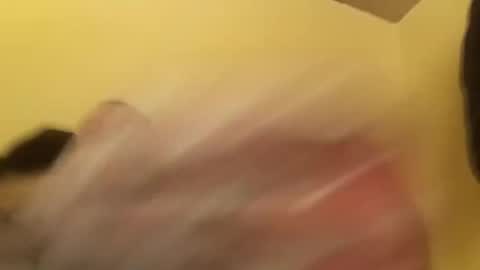 bombelpunk86 online show from February 13, 8:06 am