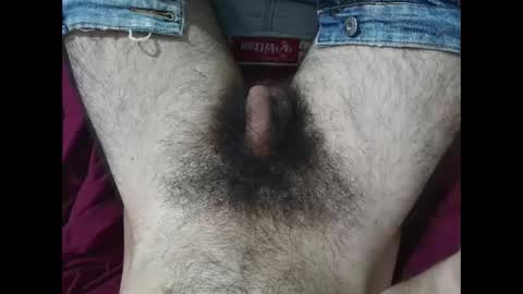 Im Bom - Tip if You Liked my Hairy Body - Private Show is Open - Read more about me in the bio below online show from October 30, 11:00 am