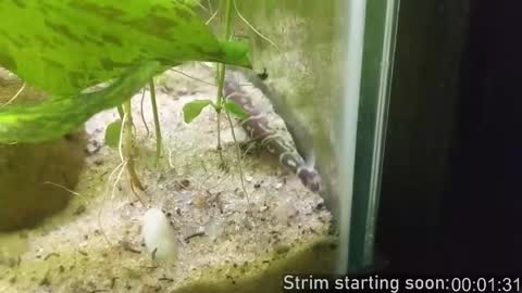 Booker Baxton online show from February 18, 4:10 am