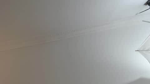 BrandonCole online show from February 10, 12:29 pm