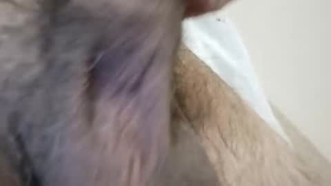 brazillllondonn online show from December 16, 7:37 am