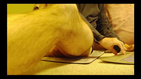 brode3 online show from January 6, 4:05 am