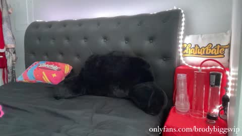 Brody Biggs online show from November 30, 8:00 pm