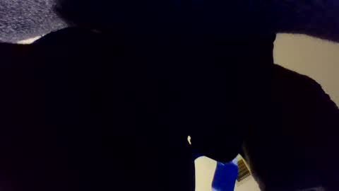 Snapshot of buckoykang chatting on October 11, 4:05 am buckoykang online show from October 11, 4:05 am