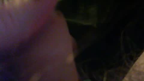 bullemoe online show from December 21, 10:51 pm