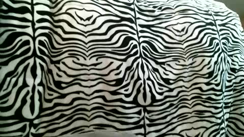 bustinfree online show from February 25, 3:38 pm