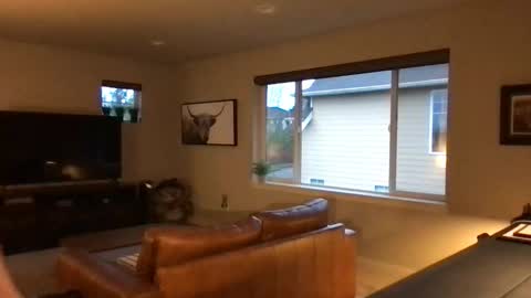 calirsedmo online show from February 8, 3:38 pm