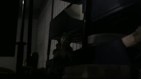 chaturbatordeluxe online show from February 25, 3:07 am