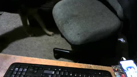 Snapshot of chefy999 chatting on October 31, 11:57 am chefy online show from October 31, 11:57 am