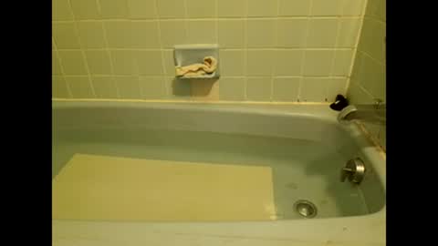 coopstone online show from January 31, 3:20 am