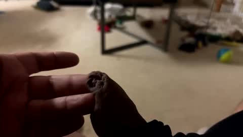 corazonmio1 online show from February 27, 7:44 am