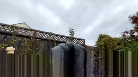 Snapshot of coronelking chatting on September 28, 10:30 pm coronelking online show from September 28, 10:30 pm