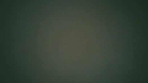 ctbddc online show from December 24, 9:17 am