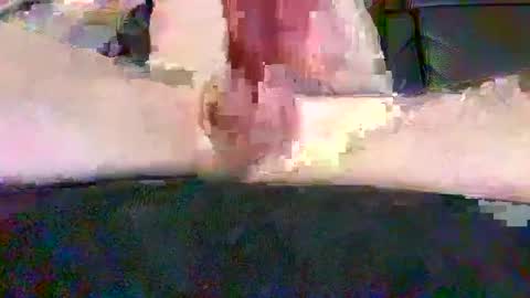 cwaddle online show from February 3, 3:38 pm