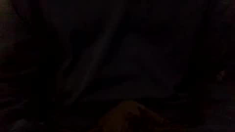 JOI use emoji thumbs up Faster   Thumbs down Slower    Hi Hand Stop    Fist Start.Stop online show from October 9, 4:23 pm