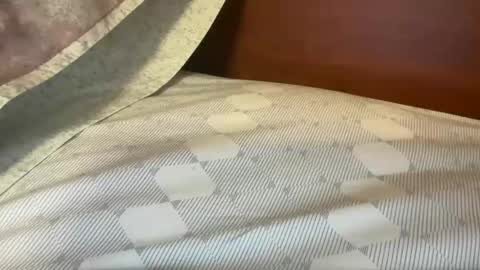 Snapshot of daddys___home chatting on October 28, 7:49 pm daddys___home online show from October 28, 7:49 pm