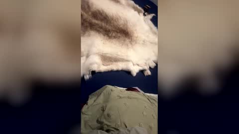 damontsi online show from March 22, 9:36 am