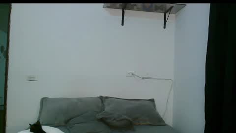 Snapshot of dan_yagami chatting on March 5, 12:27 am Dan and Noah online show from March 5, 12:27 am