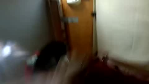 David1438 online show from December 15, 11:55 am