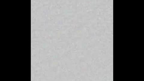 DaytonaSpeed online show from January 18, 5:37 pm