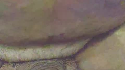 Dive Deep online show from November 2, 2:10 pm