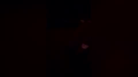 deerpark9 online show from April 19, 3:06 am