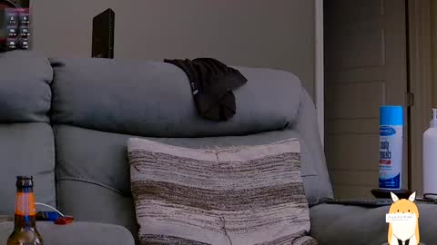 Dilldough405 online show from December 22, 6:17 am