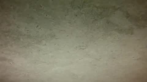 Djo online show from October 26, 7:27 pm