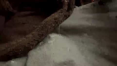 Snapshot of doingmek9 chatting on February 20, 11:20 am doingmek9 online show from February 20, 11:20 am