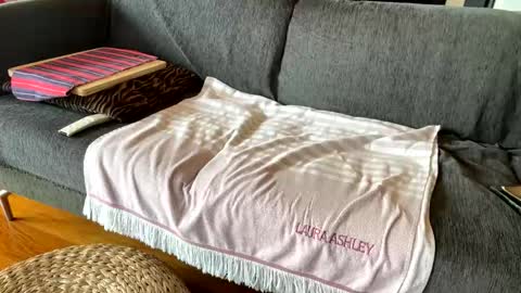 Alfredo online show from February 24, 11:11 am