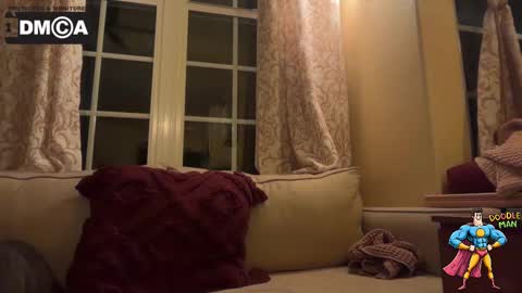 doodleman2077 online show from October 23, 5:00 am