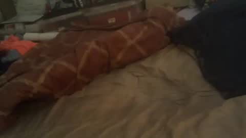 Hello  welcome to Slutsville  I am the Naked Chef  really  but you may call me Peter online show from January 20, 11:24 am