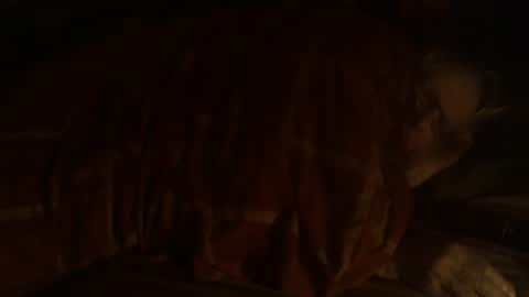 Hello  welcome to Slutsville  I am the Naked Chef  really  but you may call me Peter online show from December 25, 9:33 pm