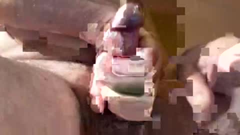 Dr Fill online show from November 16, 2:30 pm