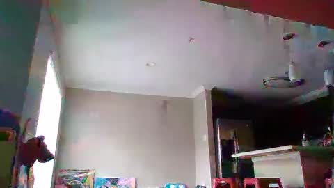 SmoovFanz online show from November 17, 3:48 pm