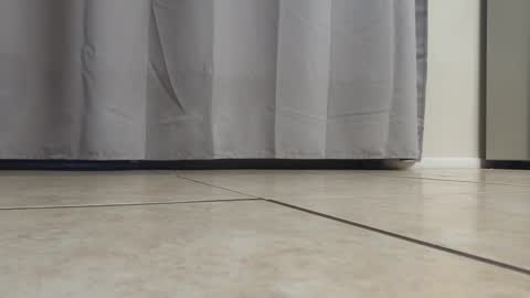 dzznutzzz online show from October 1, 11:30 pm