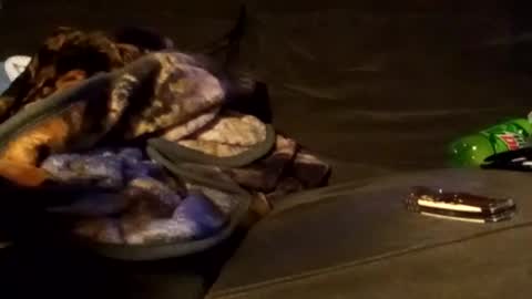 edmore1215 online show from January 8, 11:19 pm