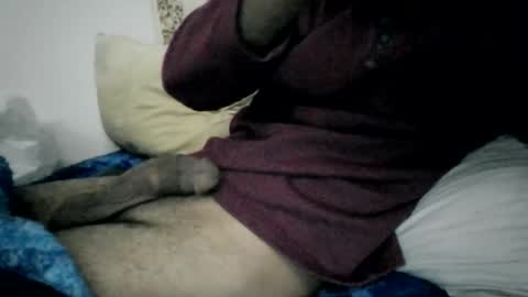 englisharabcock online show from February 26, 2:13 am