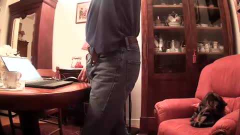 Steph et Eric online show from November 25, 10:28 am