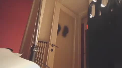 EZCODA online show from December 25, 7:02 pm