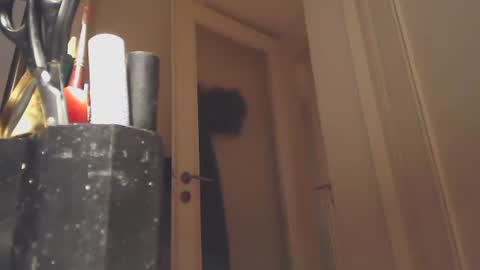 EZCODA online show from January 26, 10:57 pm