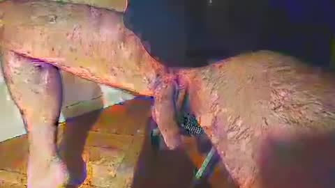 EZCODA online show from March 6, 2:41 am