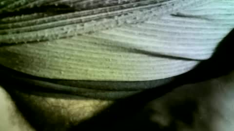 felicaste online show from February 14, 9:24 am