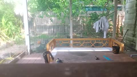 foliedeux online show from January 18, 6:20 am